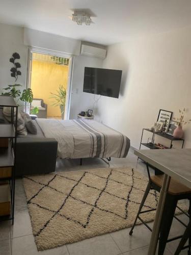 um quarto com uma cama, uma televisão e um tapete em Bas de Villa détente em Carros