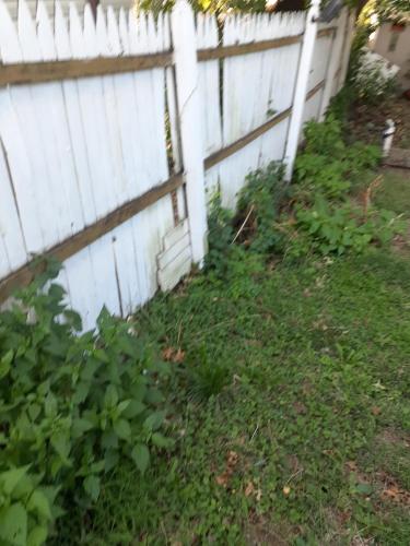 a white fence next to a yard with plants at Cozy2 in Union