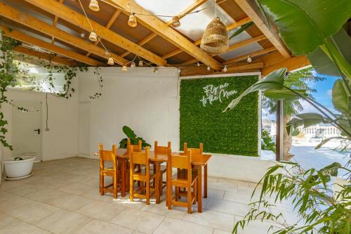 Κήπος έξω από το Lunatika house