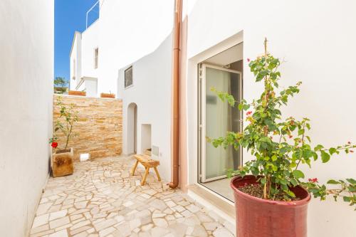 a courtyard with a plant in a pot next to a building at Dimora Ferente in Salve