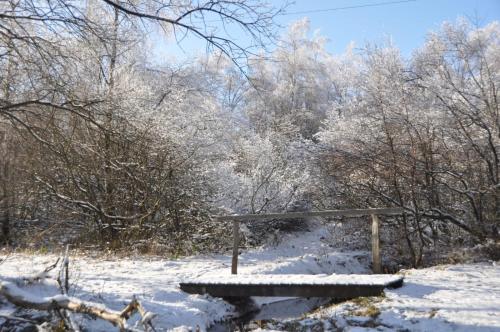 a bench in a snow covered field with trees at Alt Monjoie in Roetgen
