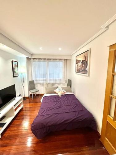 una camera con letto viola e TV di Curros Enríquez MR a Ourense