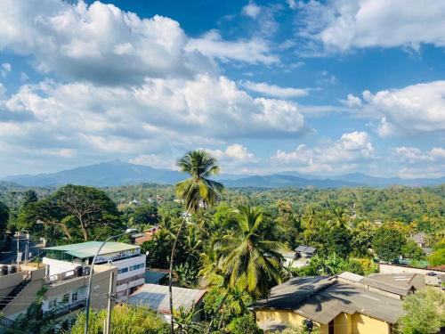 a city with palm trees and mountains in the background at Gangarama Sleeping Rest in Kandy
