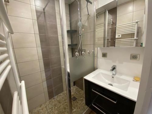 une salle de bain avec un lavabo et une douche dans l'établissement Appartement 4 pers, rez-de-jardin, près des pistes, parking, animaux acceptés - FR-1-733-117, à Crest-Voland