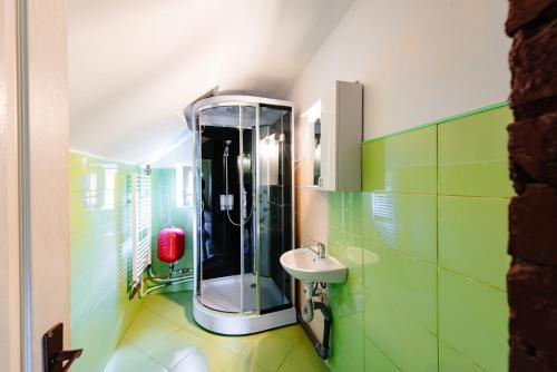 a bathroom with a shower and a sink at Cabana Diva in Finciu