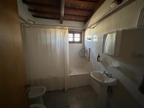 y baño con ducha, lavabo y aseo. en Campo Las Marias en Santa Catalina