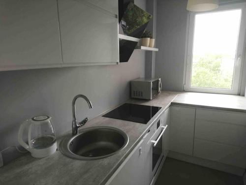 uma cozinha com um lavatório e um micro-ondas em Gallusa Apartament em Katowice