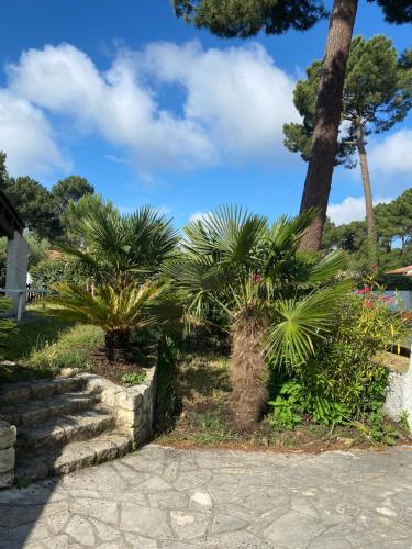 Zahrada ubytování Magnifique villa avec piscine à La Palmyre