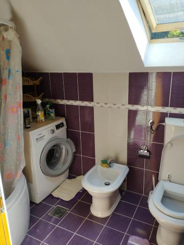 a bathroom with a toilet sink and a washing machine at Apartman Šljivo in Konjic