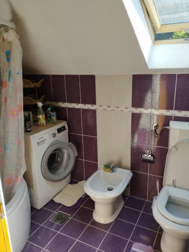 Koupelna v ubytování Apartman Šljivo