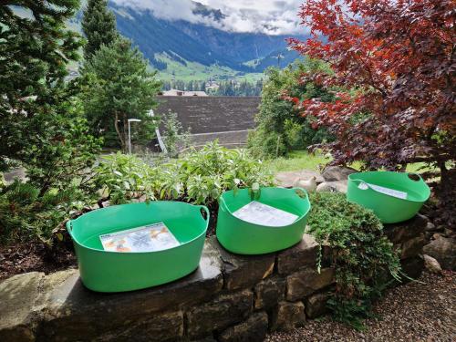 three green tubs sitting on a stone wall at Chalet Gotthelf Gartenstudio, Ferien mit Hund in Adelboden