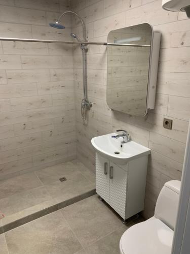 a bathroom with a sink and a toilet and a mirror at VILLA ROZA Guest House in Rēzekne