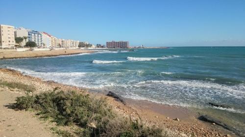 Habitacion privada Torrevieja playa