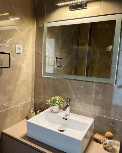 a bathroom with a white sink and a mirror at Apartments HAS in Kotor