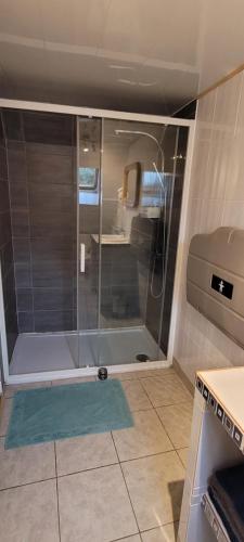 La salle de bains est pourvue d'une douche avec une porte en verre. dans l'établissement L'hippo-gîte, à Fressenneville