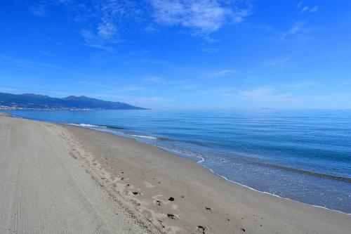 a beach with footprints in the sand and the ocean at Maison de charme en bord de mer in Lucciana