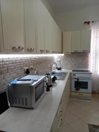 cocina con fregadero y microondas en Ideal Home, en Shkodër