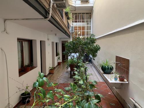 Derby Home Hotel في بوينس آيرس: فناء داخلي مع نباتات الفخار في مبنى