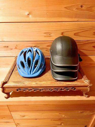 Galería fotográfica de View of Mt Fuji Free transportation Bicycle Rental ok 富士山眺望 en Fujikawaguchiko
