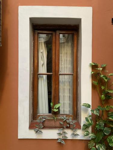 a window on the side of a building with a plant at Derby Home Hotel in Buenos Aires