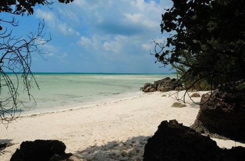 a view of the ocean from a beach at Ycona Eco-Luxury Resort, Zanzibar in Dikoni