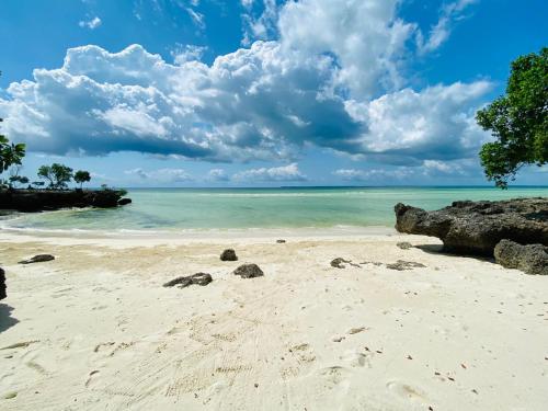 a beach with some rocks and the ocean at Ycona Eco-Luxury Resort, Zanzibar in Dikoni