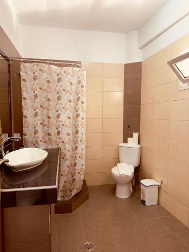 a bathroom with a toilet and a sink and a shower at Villa Merkuri in Himare