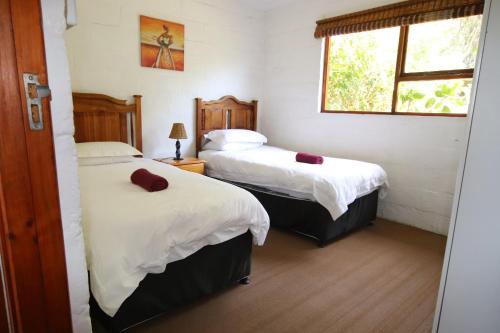 two beds in a room with a window at Tsitsikamma on Sea Self-catering Cottages in Witelsbos