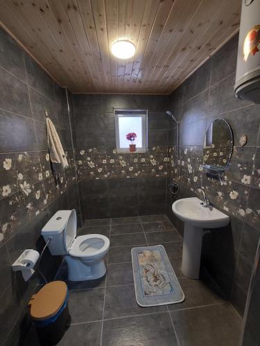 łazienka z toaletą i umywalką w obiekcie Green Garden Rooftop w mieście Madaba