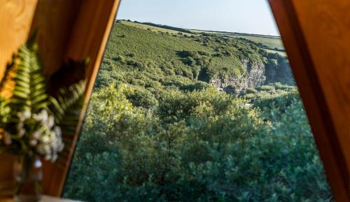 Gambar di galeri bagi K4 Kudhva Treehouse Cabin with sea view di Treknow