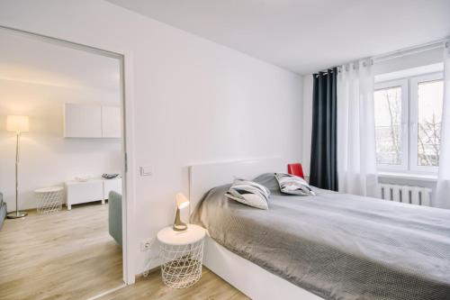 een slaapkamer met een groot bed en een spiegel bij DaGys apartments in Druskininkai