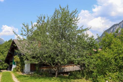 a tree in front of a building with a house at Chalet Le Monteiller in Les Moulins