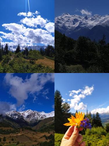 four different images of clouds and a person holding a flower at Gujejiani Guest house in Mestia