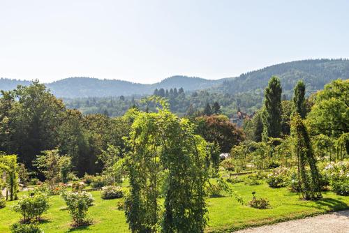 Příroda nedaleko apartmánu