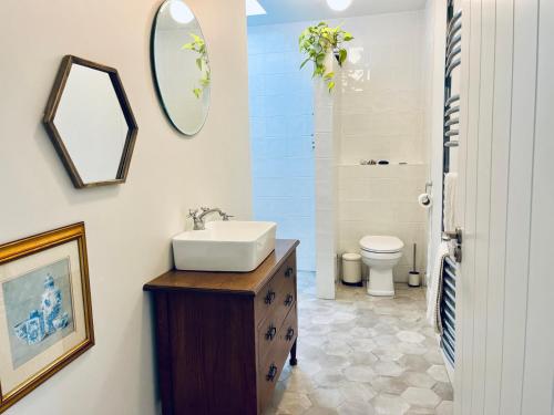 a bathroom with a sink and a mirror and a toilet at Harbour view retreat Cró na mbó in Midleton