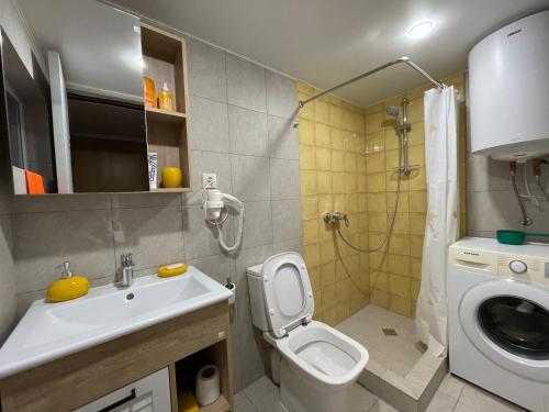 ピツンダにあるФинский дом в Пицундеのバスルーム(トイレ、洗面台、洗濯機付)