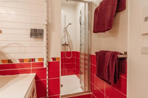 La salle de bains est pourvue de carrelage rouge et d'une douche. dans l'établissement Appartement T2 bis calme et chaleureux en plein centre-ville, avec linge de maison inclus, à Cauterets