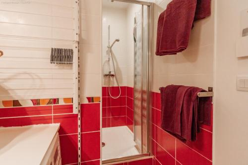 a bathroom with red tile and a shower at Appartement cosy au cœur de la ville, au calme avec Wifi et linge de maison inclus in Cauterets