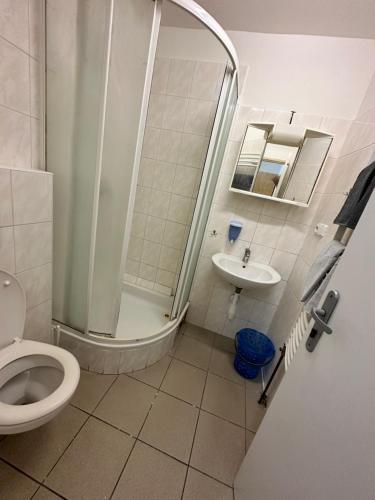 a bathroom with a shower and a toilet and a sink at Bydlení v Brumově s.r.o. in Brumow