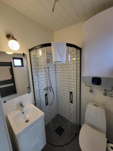a bathroom with a shower and a sink and a toilet at Landbrot Guesthouse in Kirkjubæjarklaustur