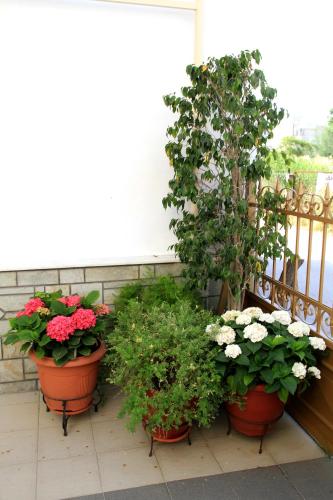a group of pots of flowers on a balcony at Hotel Stella in Volos