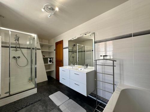 a bathroom with a shower and a sink and a tub at Le temps de vivre in Saint-Seine-lʼAbbaye