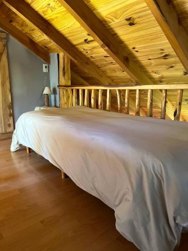 Natur Haus – Photos 2
