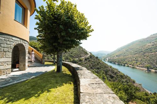 a tree sitting next to a building next to a river at Quinta Dona Matilde in Peso da Régua