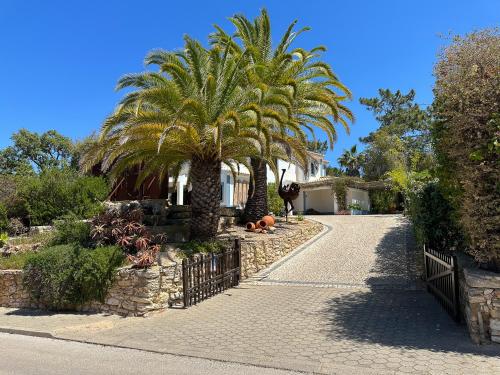 Κήπος έξω από το Quinta do Rosal