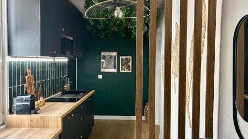 - une cuisine avec un mur vert et un évier dans l'établissement L'Amazonien - Baby-foot et filet de détente !, à Nîmes