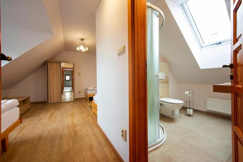 a attic bathroom with a toilet and a skylight at Guest House Mengsdorf in Mengusovce