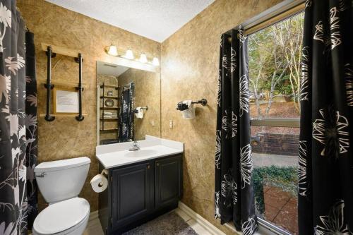 a bathroom with a toilet and a sink and a window at Secluded Cabin / Stunning Mtn View / Paved Drive in Sevierville