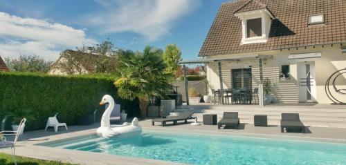two swans in a swimming pool in front of a house at Ma Douce Bulle Piscine & Détente in Saint-Léger-près-Troyes