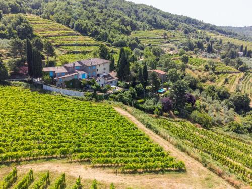 a house in the middle of a vineyard on a hill at Holiday Home Ridaldi by Interhome in Greve in Chianti